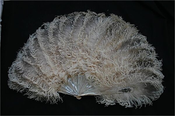 Mother of Pearl - Ostrich Feathers