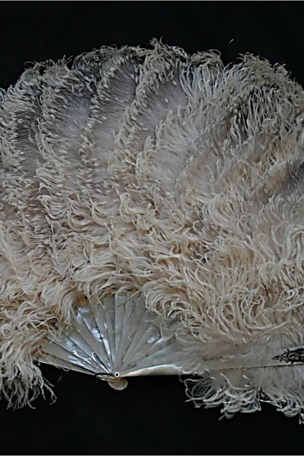 Mother of Pearl - Ostrich Feathers