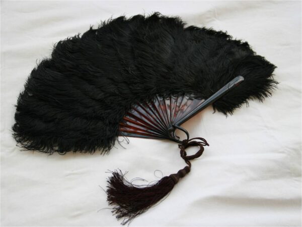 Brown Tortoiseshell Ostrich Feathers