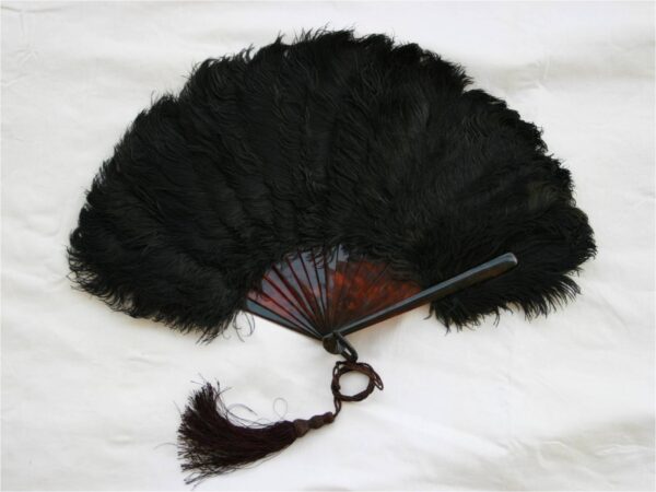 Brown Tortoiseshell Ostrich Feathers