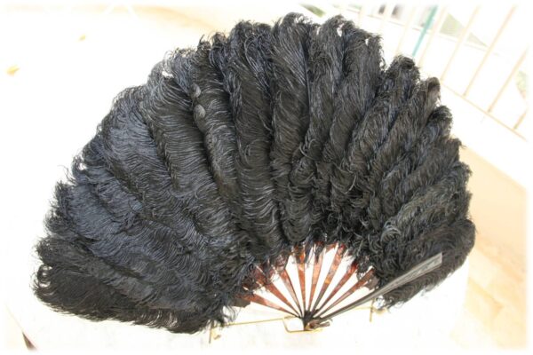 Brown Tortoiseshell Ostrich Feathers