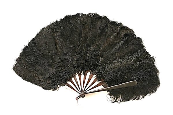 Brown Tortoiseshell Ostrich Feathers