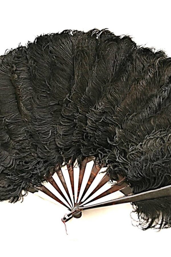 Brown Tortoiseshell Ostrich Feathers