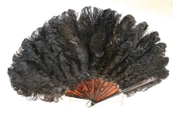 Brown Tortoiseshell Ostrich Feathers