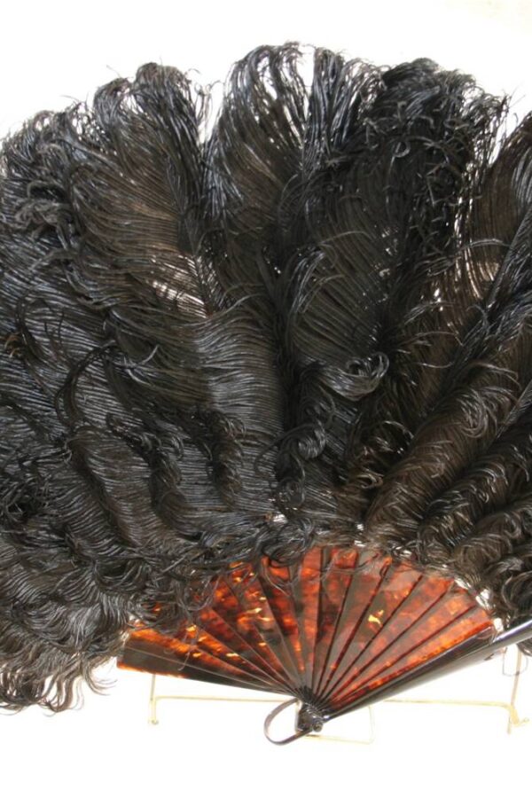 Brown Tortoiseshell Ostrich Feathers